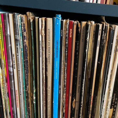A row of vinyl record spines, some tattier than others.