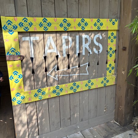 A sign saying 'Tapirs' with a yellow and green border with an arrow pointing left